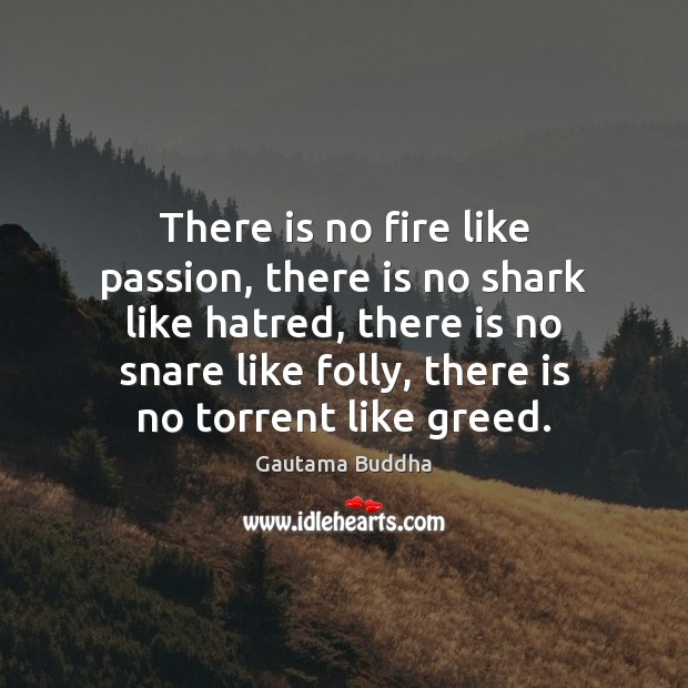There is no fire like passion, there is no shark like hatred, Gautama Buddha Picture Quote