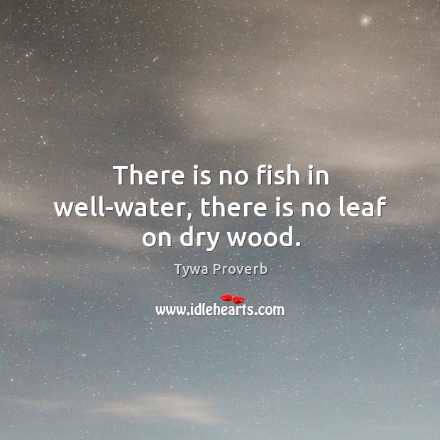 There is no fish in well-water, there is no leaf on dry wood. Tywa Proverbs Image