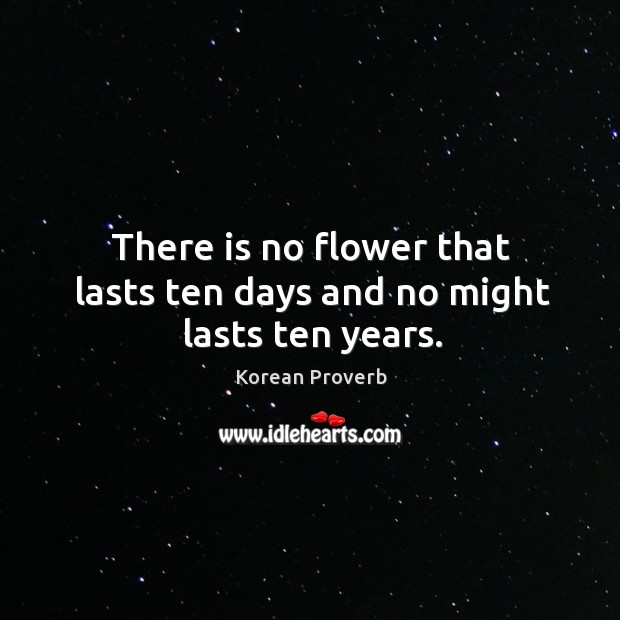 There is no flower that lasts ten days and no might lasts ten years. Korean Proverbs Image