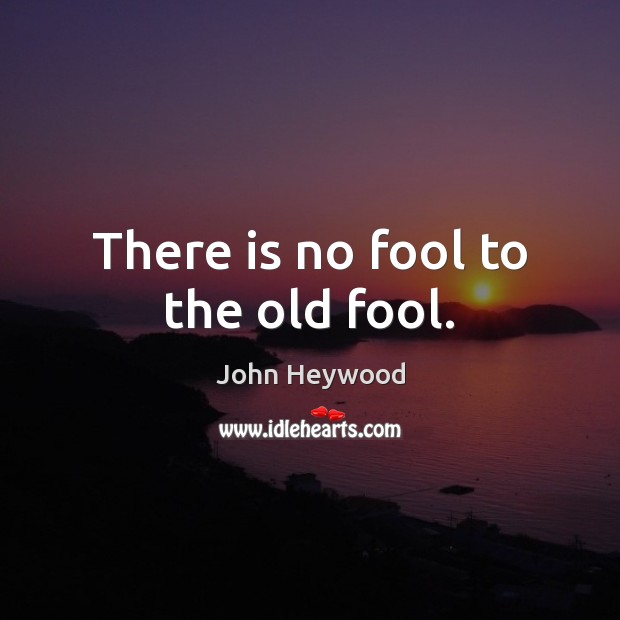 There is no fool to the old fool. John Heywood Picture Quote