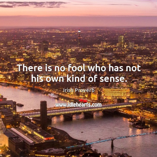 There is no fool who has not his own kind of sense. Irish Proverbs Image