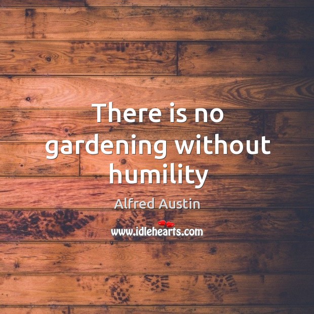 There is no gardening without humility Alfred Austin Picture Quote