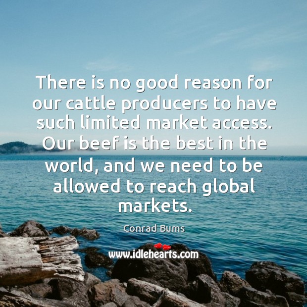There is no good reason for our cattle producers to have such limited market access. Conrad Bums Picture Quote