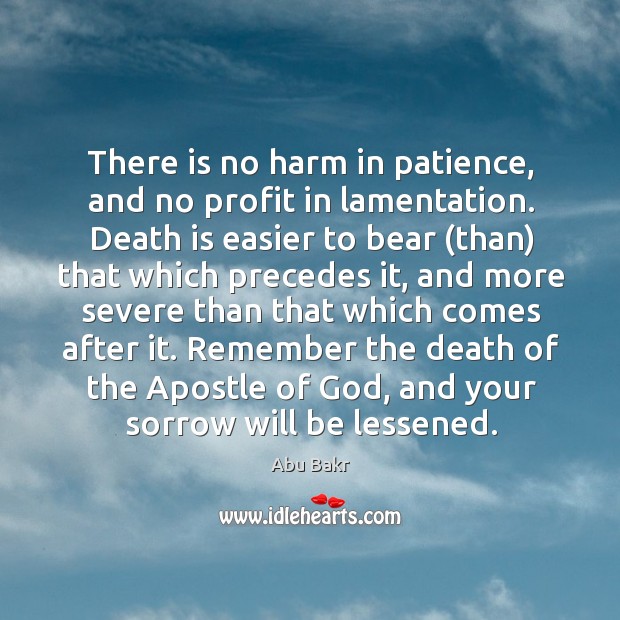 There is no harm in patience, and no profit in lamentation. Abu Bakr Picture Quote