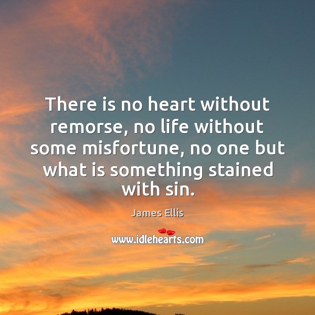 There is no heart without remorse, no life without some misfortune, no James Ellis Picture Quote
