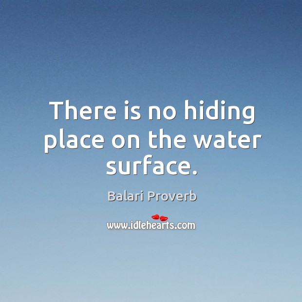There is no hiding place on the water surface. Balari Proverbs Image