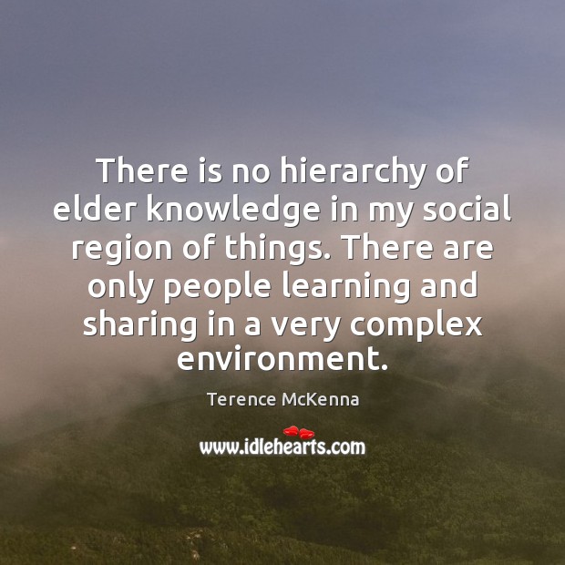 There is no hierarchy of elder knowledge in my social region of Terence McKenna Picture Quote