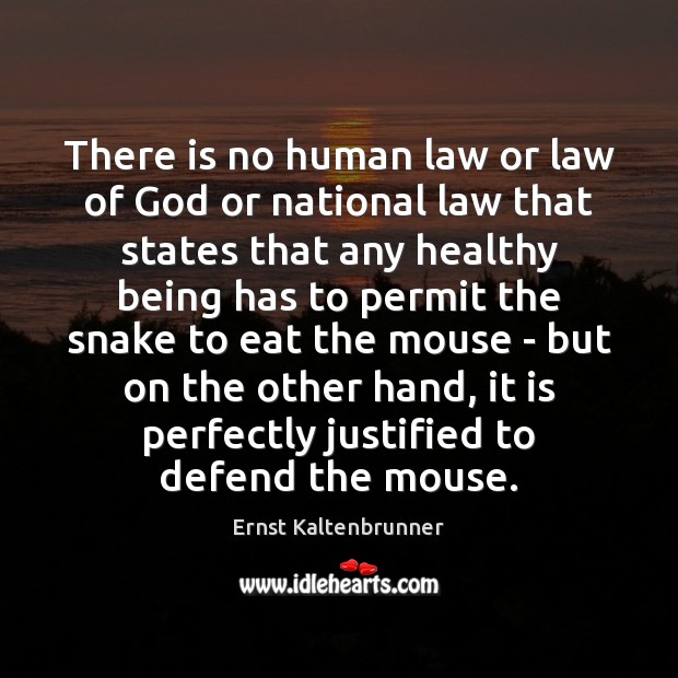 There is no human law or law of God or national law Ernst Kaltenbrunner Picture Quote