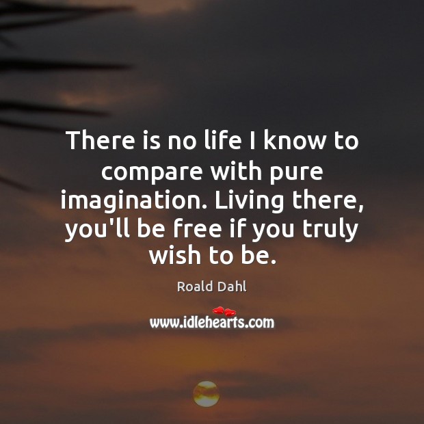 There is no life I know to compare with pure imagination. Living Roald Dahl Picture Quote