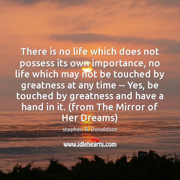 There is no life which does not possess its own importance, no stephen R. Donaldson Picture Quote