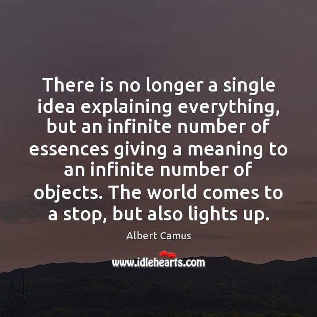 There is no longer a single idea explaining everything, but an infinite Albert Camus Picture Quote
