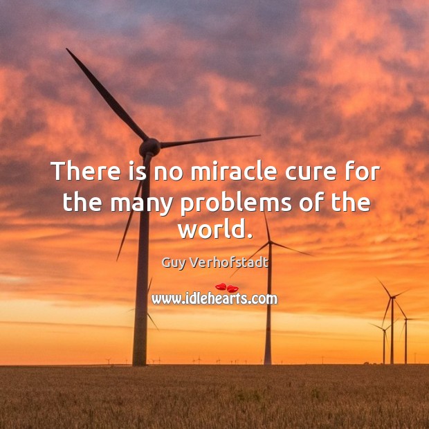 There is no miracle cure for the many problems of the world. Guy Verhofstadt Picture Quote