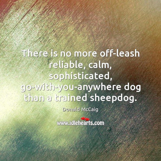 There is no more off-leash reliable, calm, sophisticated, go-with-you-anywhere dog than a Image
