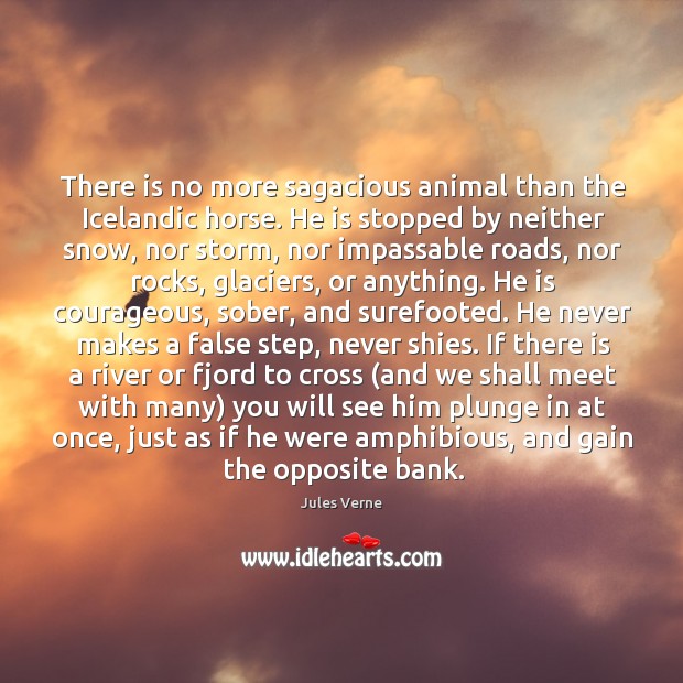 There is no more sagacious animal than the Icelandic horse. He is Jules Verne Picture Quote