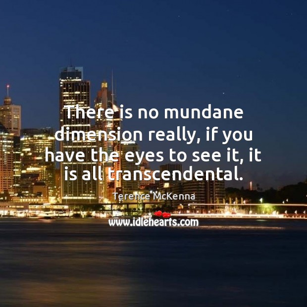 There is no mundane dimension really, if you have the eyes to Image