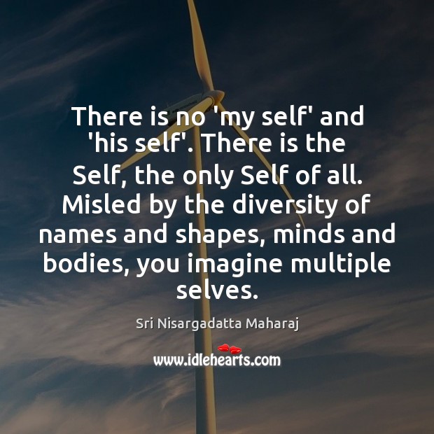 There is no ‘my self’ and ‘his self’. There is the Self, Sri Nisargadatta Maharaj Picture Quote