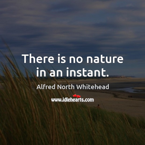 There is no nature in an instant. Alfred North Whitehead Picture Quote