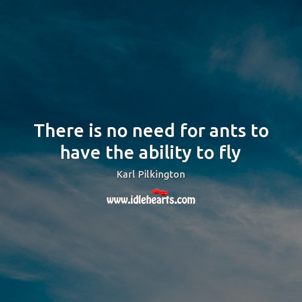 There is no need for ants to have the ability to fly Karl Pilkington Picture Quote