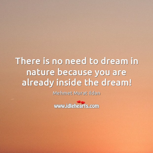 There is no need to dream in nature because you are already inside the dream! Image