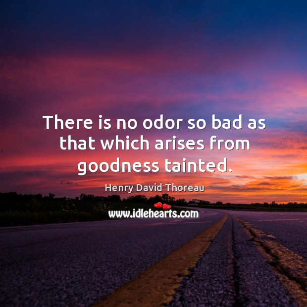 There is no odor so bad as that which arises from goodness tainted. Henry David Thoreau Picture Quote