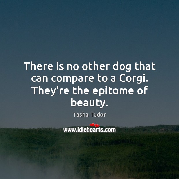 There is no other dog that can compare to a Corgi. They’re the epitome of beauty. Compare Quotes Image