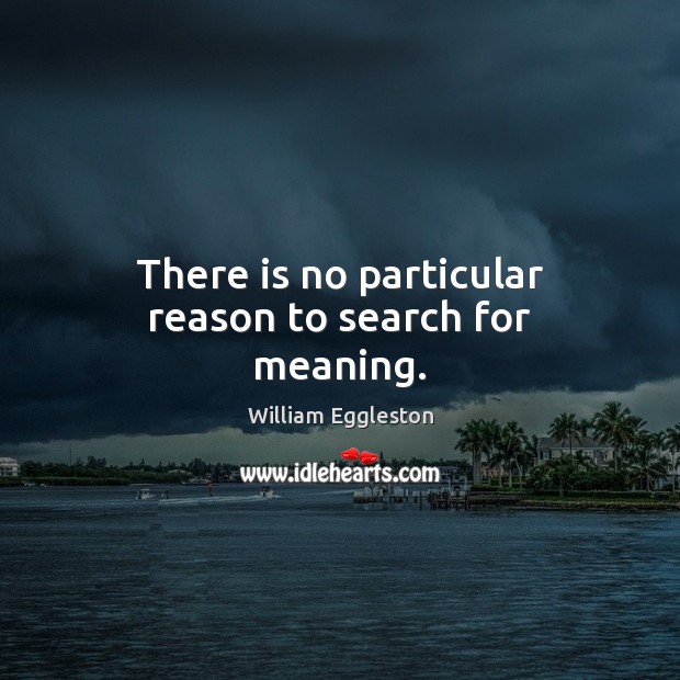 There is no particular reason to search for meaning. William Eggleston Picture Quote