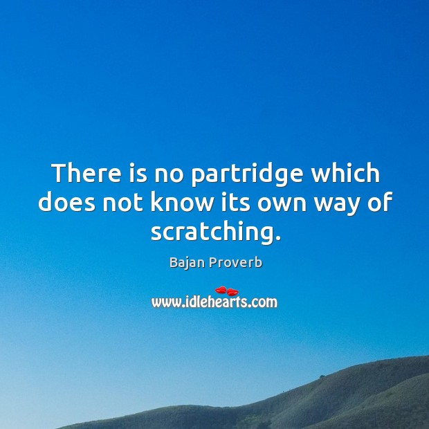 There is no partridge which does not know its own way of scratching. Bajan Proverbs Image