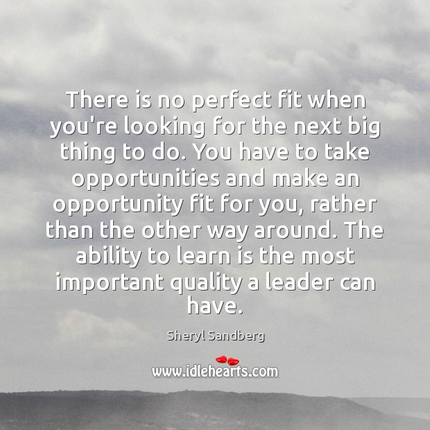 There is no perfect fit when you’re looking for the next big Sheryl Sandberg Picture Quote