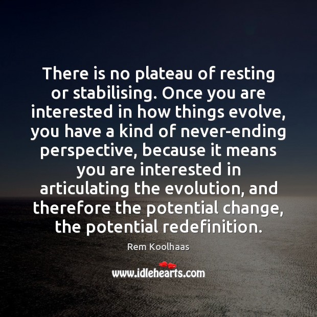There is no plateau of resting or stabilising. Once you are interested Rem Koolhaas Picture Quote