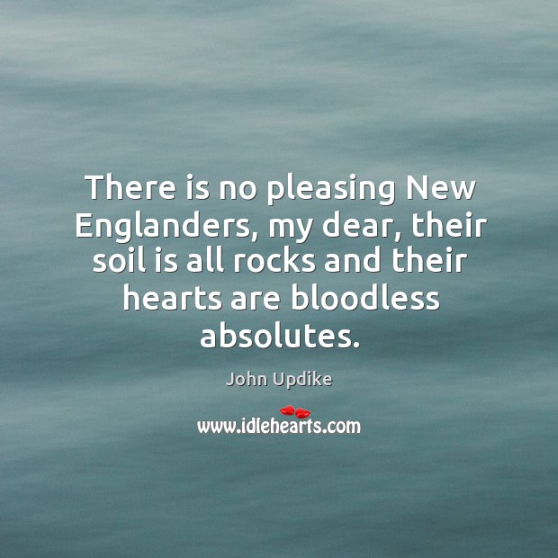There is no pleasing New Englanders, my dear, their soil is all John Updike Picture Quote