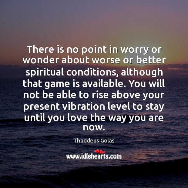 There is no point in worry or wonder about worse or better Thaddeus Golas Picture Quote