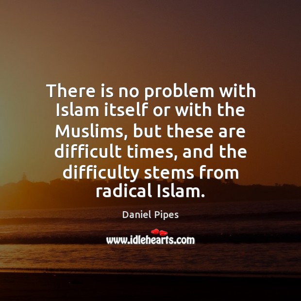 There is no problem with Islam itself or with the Muslims, but Daniel Pipes Picture Quote