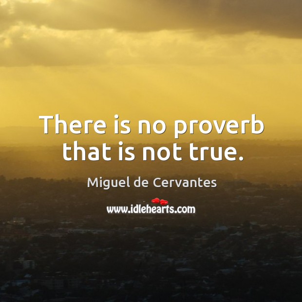 There is no proverb that is not true. Miguel de Cervantes Picture Quote