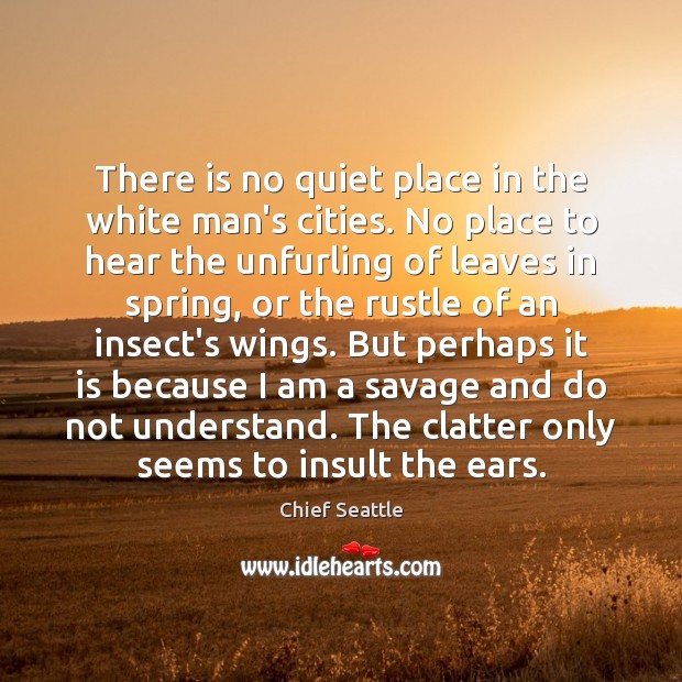 There is no quiet place in the white man’s cities. No place Chief Seattle Picture Quote