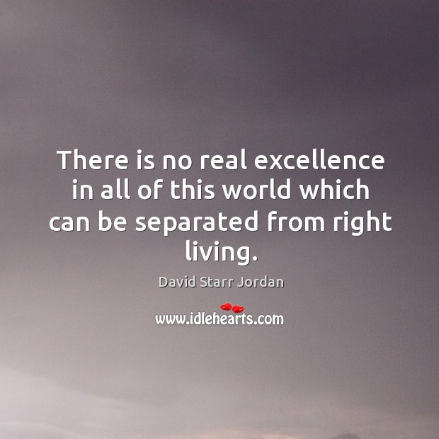 There is no real excellence in all of this world which can be separated from right living. David Starr Jordan Picture Quote