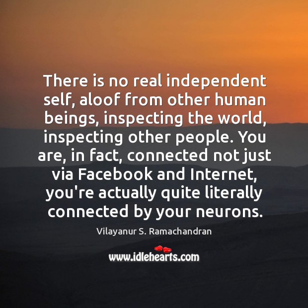 There is no real independent self, aloof from other human beings, inspecting Vilayanur S. Ramachandran Picture Quote