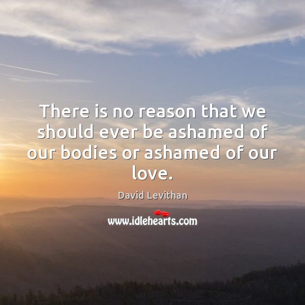 There is no reason that we should ever be ashamed of our bodies or ashamed of our love. David Levithan Picture Quote