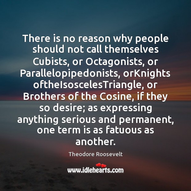 There is no reason why people should not call themselves Cubists, or Theodore Roosevelt Picture Quote