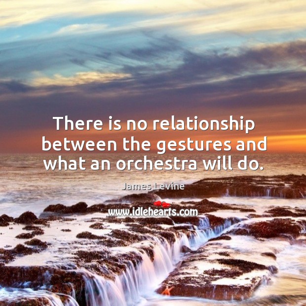 There is no relationship between the gestures and what an orchestra will do. James Levine Picture Quote