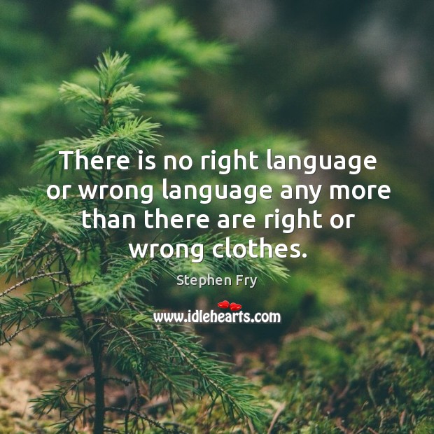 There is no right language or wrong language any more than there Stephen Fry Picture Quote