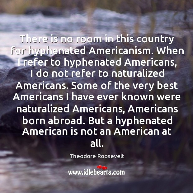 There is no room in this country for hyphenated Americanism. When I Image