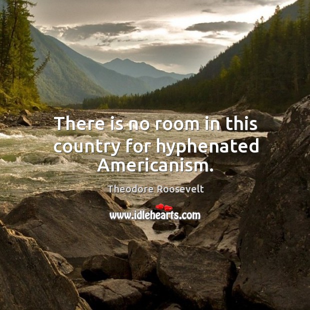 There is no room in this country for hyphenated Americanism. Theodore Roosevelt Picture Quote