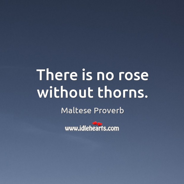 There is no rose without thorns. Maltese Proverbs Image