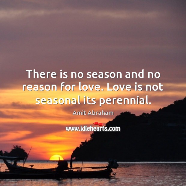 There is no season and no reason for love. Love is not seasonal its perennial. Amit Abraham Picture Quote