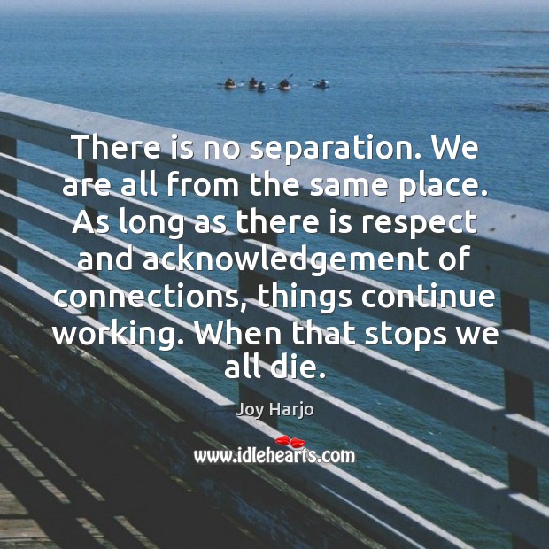 There is no separation. We are all from the same place. As Joy Harjo Picture Quote