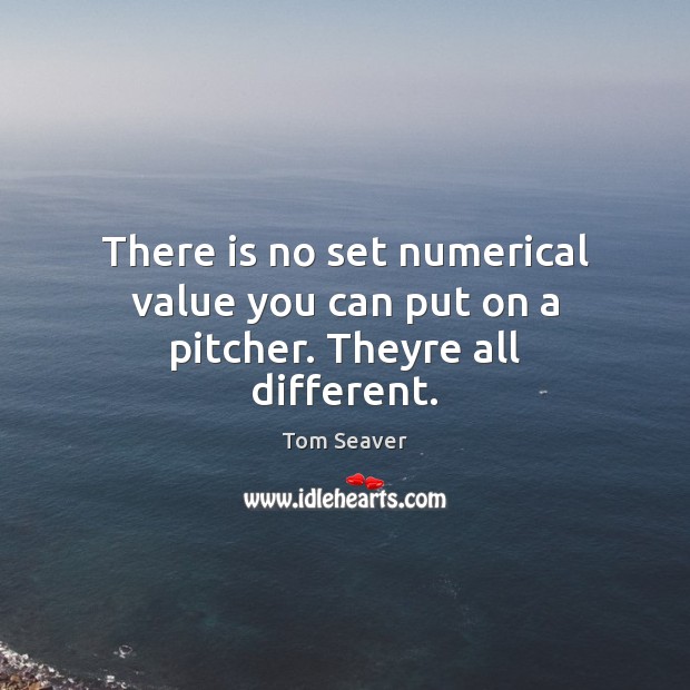 There is no set numerical value you can put on a pitcher. Theyre all different. Tom Seaver Picture Quote