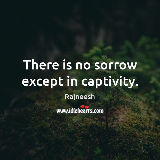 There is no sorrow except in captivity. Rajneesh Picture Quote