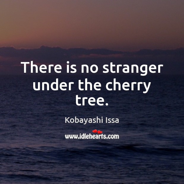 There is no stranger under the cherry tree. Kobayashi Issa Picture Quote