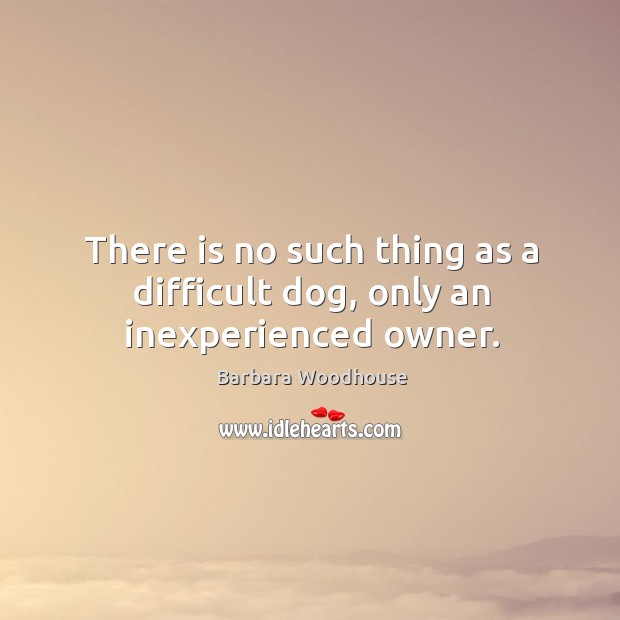 There is no such thing as a difficult dog, only an inexperienced owner. Barbara Woodhouse Picture Quote