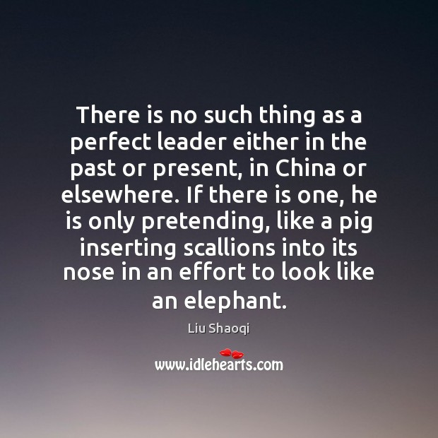 There is no such thing as a perfect leader either in the Image